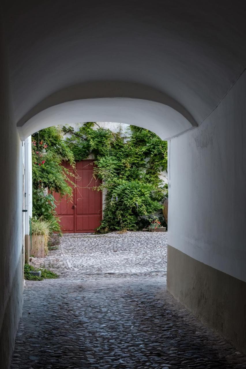 Casa De Borba Villa Buitenkant foto